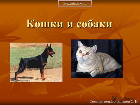 Кошки и собаки Составитель Большаков С. В. Prezentacii.com.