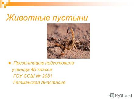 Животные пустыни Презентацию подготовила ученица 4Б класса ГОУ СОШ 2031 Гетманская Анастасия.