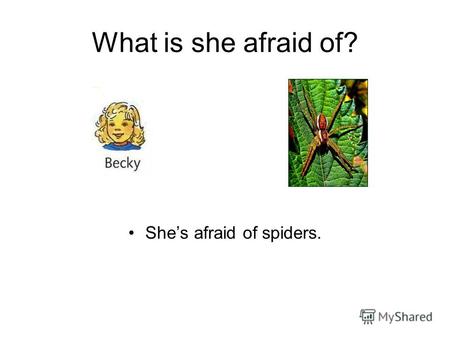 What is she afraid of? Shes afraid of spiders.. What is she afraid of? She is afraid of mice.