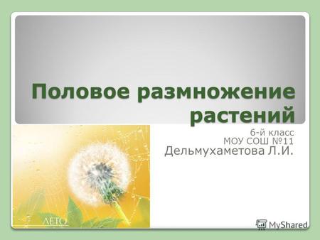 Половое размножение растений 6-й класс МОУ СОШ 11 Дельмухаметова Л.И.