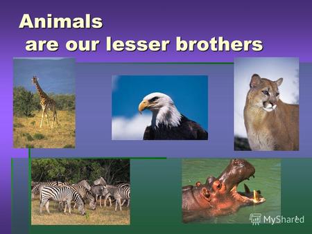 19.11.20131 Animals are our lesser brothers. 2 Phonetic exercise save e endangered nature rhino k kind wild society g giant scientists feeding w wing.