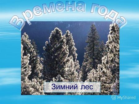 Зимний лес Чародейкою зимою Околдован лес стоит, И под снежной бахромою, Неподвижною, немою, Чудной жизнью он блестит. Ф.Тютчев.