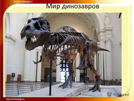Мир динозавров. Динозавры появились приблизительно 220 миллионов лет назад. Слово «динозавр» означает «ужасная ящерица».