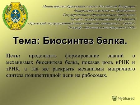 Тема: Биосинтез белка. Министерство образования и науки Российской Федерации Федеральное агентство по образованию Государственное образовательное учреждение.