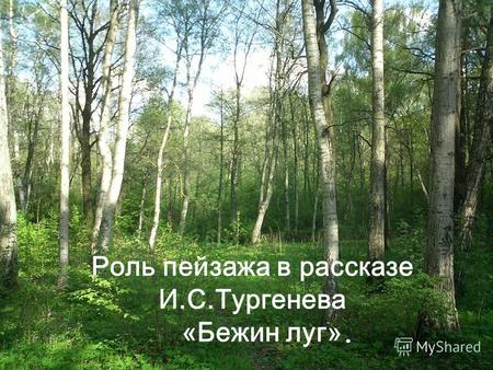 Роль пейзажа в рассказе И.С.Тургенева «Бежин луг».