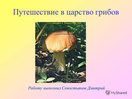 Работу выполнил Севостьянов Дмитрий Путешествие в царство грибов.