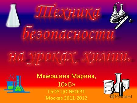 Мамошина Марина, 10«Б» ГБОУ ЦО 1631 Москва 2011-2012.