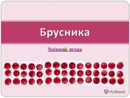 Таёжная я я я ягода. Самая популярная ягода Брусника - самая популярная ягода Тюменского края. Запасы её в Сибири до 3 миллионов тонн. Растет в хвойных.
