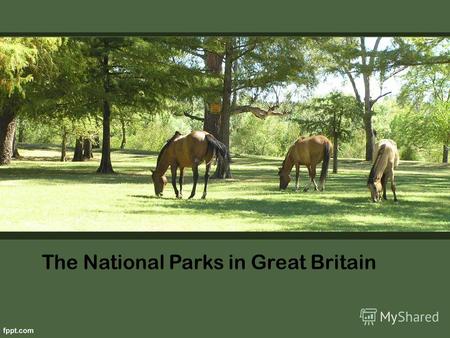 The National Parks in Great Britain. After a noisy city, so nice to be outdoors. Wander through the quiet forest paths, listening to the birds, breathe.