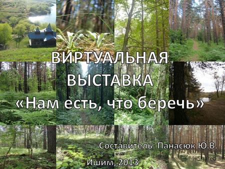 Виртуальная выставка посвящена году Экологии в России. В 2013 году исполняется 45 лет со дня объявления Синицинского бора памятником природы.