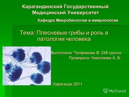 Карагандинский Государственный Медицинский Университет Кафедра Микробиологии и иммунологии Тема: Плесневые грибы и роль в патологии человека Выполнила: