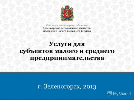 Услуги для субъектов малого и среднего предпринимательства г. Зеленогорск, 2013.