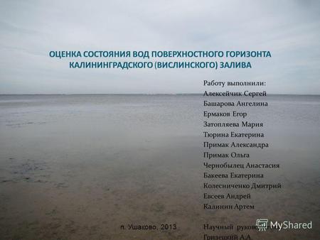 П. Ушаково, 2013. Объектом исследования является Вислинский залив в российской части водосборного бассейна. Отбор проб воды производился с поверхностного.