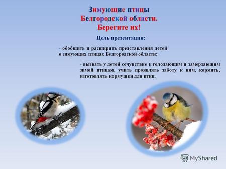 Цель презентации: - обобщить и расширить представления детей о зимующих птицах Белгородской области; - вызвать у детей сочувствие к голодающим и замерзающим.