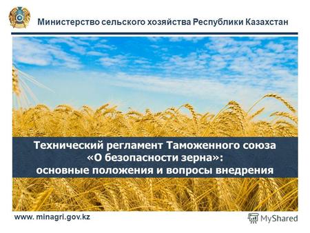 Министерство сельского хозяйства Республики Казахстан www. minagri.gov.kz Технический регламент Таможенного союза «О безопасности зерна»: основные положения.