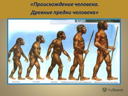 «Происхождение человека. Древние предки человека».