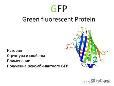 GFP Green fluorescent Protein История Структура и свойства Применение Получение рекомбинантного GFP Сергей Крат, МБФ.