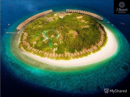 РАСПОЛОЖЕНИЕ: В одном из самых северных Хаа Алифу атолле (Haa Alifu Atoll), в 300 км от аэропорта Хулуле и столицы - Мале. Размеры острова 480х450 м.