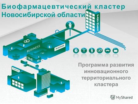 Биофармацевтический кластер Новосибирской области Программа развития инновационного территориального кластера.