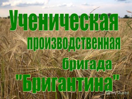МОДЕЛЬ УПБ БРИГАНТИНА БРИГАНТИНА БРИГАНТИНА+ фермерское хозяйство «Колодко»