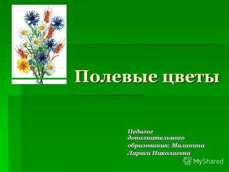 Полевые цветы Педагог дополнительного образования: Маланина Лариса Николаевна.