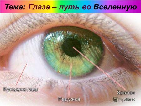 1 Тема: Глаза – путь во Вселенную 2 Внутреннее строение глаза.