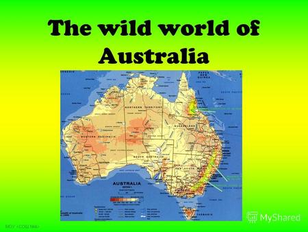 The wild world of Australia МОУ. The coat of arms.