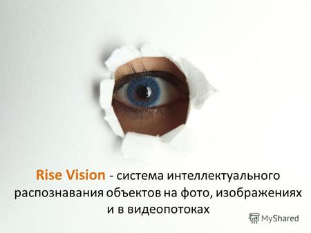 Rise Vision - система интеллектуального распознавания объектов на фото, изображениях и в видеопотоках.