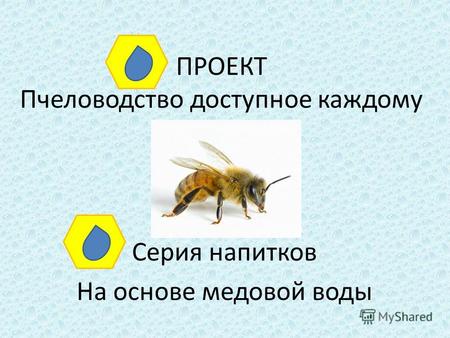 ПРОЕКТ Пчеловодство доступное каждому Серия напитков На основе медовой воды.