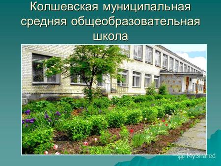 Колшевская муниципальная средняя общеобразовательная школа.