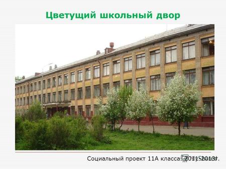 Цветущий школьный двор Социальный проект 11А класса. 2011-2013г.