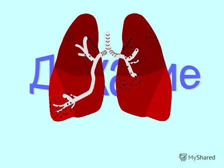 Дыхание Цель урока: Развивать понятие «дыхание», сформировать знания об особенностях строения органов дыхания в связи с выполняемыми функциями.