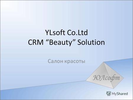 YLsoft Co.Ltd CRM Beauty Solution Салон красоты. Назначение YLsoft Co.Ltd CRM Beauty Solution (далее, в основном, будет использоваться термин решение)