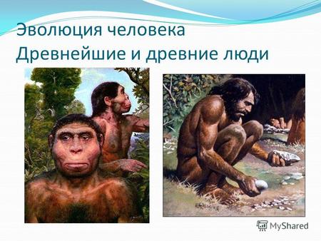Эволюция человека Древнейшие и древние люди. Homo Erectus (1-1,5 млн. лет назад). АРХАНТРОПЫ (500-300 тыс. лет назад): питекан- тропы, синантропы Синантропы.