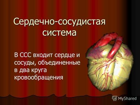 Сердечно-сосудистая система В ССС входит сердце и сосуды, объединенные в два круга кровообращения.