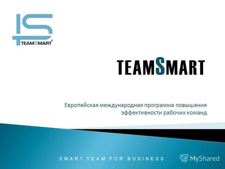 Европейская международная программа повышения эффективности рабочих команд SMART TEAM FOR BUSINESS.