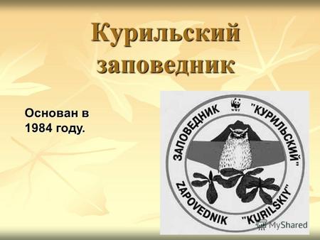 Курильский заповедник Основан в 1984 году.. Местоположение Курильский заповедник находится на Дальнем Востоке, в Сахалинской области, фактически на границе.