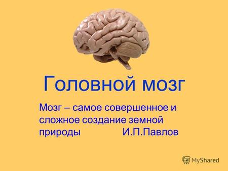 Головной мозг Мозг – самое совершенное и сложное создание земной природы И.П.Павлов.