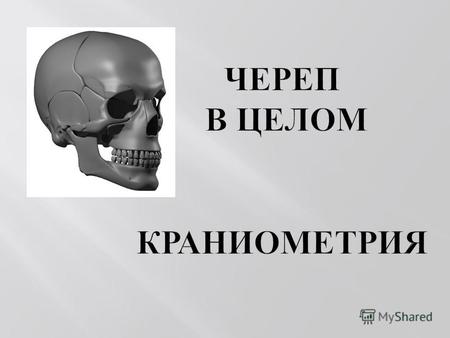 Краниометрия ( греч., от kranion череп, и metrio меряю ) раздел медицины, занимающийся определением различий в размерах и форме черепа.