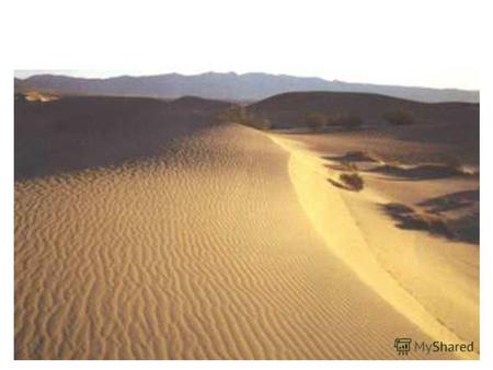 Пустыни Пустыни. 900igr.net Что ты обычно представляешь себе, когда слышишь слово «пустыня»? Наверное, необъятные просторы, покрытые песком?