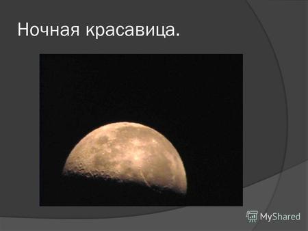 Ночная красавица.. Теория происхождения Луны. Луна – спутник Земли.