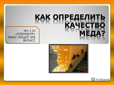 NH-110 «ПЛЮМБУМ» МАОУ ЛИЦЕЙ 8 8КЛАСС. ГИПОТЕЗА НАШЕГО ИССЛЕДОВАНИЯ: Мед – очень полезный продукт, если он качественный.