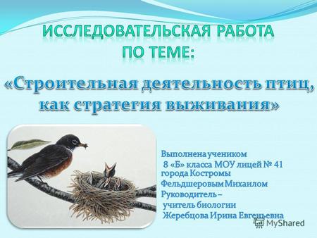 Методы исследования: Наблюдение в природе; Сбор природных объектов (старых, покинутых птицами после выведения птенцов, гнезд); Определение птичьих гнезд.