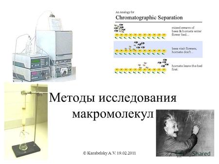 Методы исследования макромолекул © Karabelsky A.V. 19.02.2011.