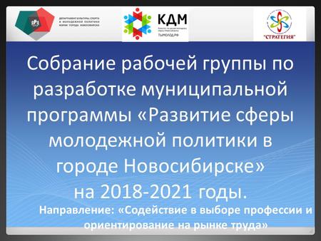 Собрание рабочей группы по разработке муниципальной программы «Развитие сферы молодежной политики в городе Новосибирске» на годы. Направление: