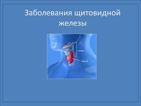Заболевания щитовидной железы. Анатомия щитовидной железы.