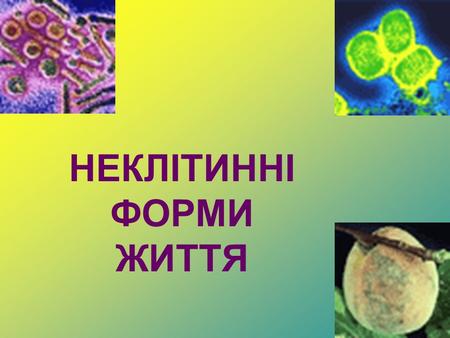 НЕКЛІТИННІ ФОРМИ ЖИТТЯ. Віруси (лат. «отрута») – облігатні внутрішньоклітинні паразити. Вони вражають всі групи живих організмів, так як живуть в клітинах.