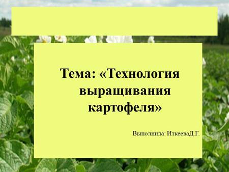Тема : « Технология выращивания картофеля » Выполнила : ИткееваД. Г.