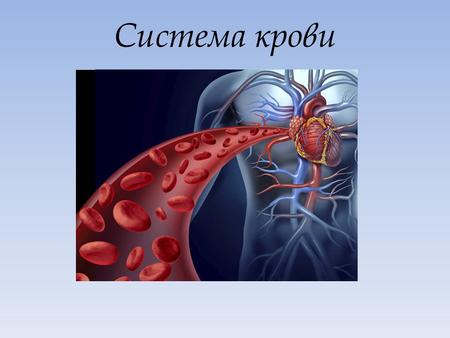 Система крови. Кровь -жидкая ткань организма, которая циркулирует в системе замкнутых трубок- кровеносных сосудах. Плазма - межклеточное вещество крови,