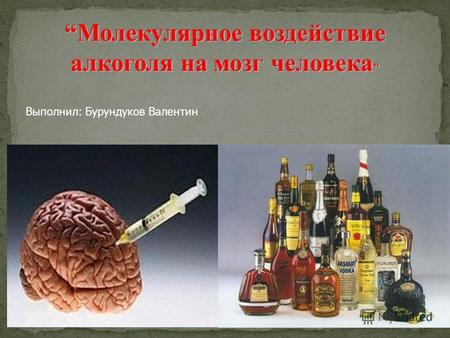 Молекулярное воздействие алкоголя на мозг человека  Выполнил: Бурундуков Валентин.